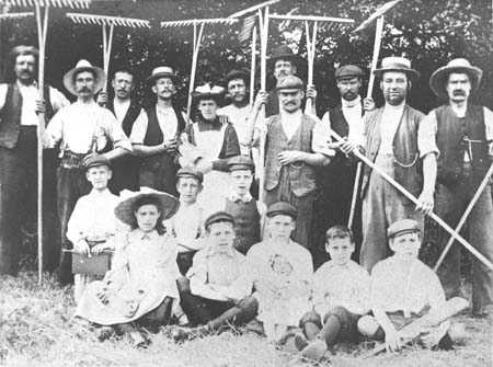 Haymaking Marlborough Road 1900 Taunt